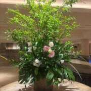 ヒメ日記 2025/04/28 19:44 投稿 ひとみ ナイスレディ