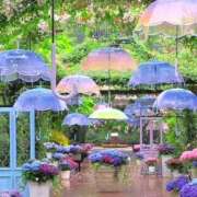 ヒメ日記 2025/06/09 18:39 投稿 ひとみ ナイスレディ