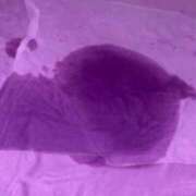 ヒメ日記 2026/03/23 13:18 投稿 りく ハピネス＆ドリーム福岡