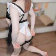 ヒメ日記 2026/01/26 11:09 投稿 みみ ドMバスターズ 京都店