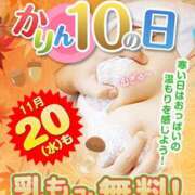 ヒメ日記 2024/11/20 18:21 投稿 つぐみ 神田添い寝女子