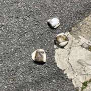 ヒメ日記 2025/04/05 21:11 投稿 つぐみ 神田添い寝女子