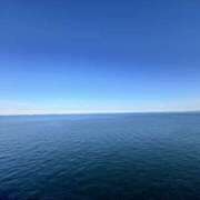 ヒメ日記 2025/01/17 20:52 投稿 みさ 横浜人妻セレブリティ（ユメオト）