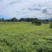 みさ 🙌🏻🙌🏻 横浜人妻セレブリティ（ユメオト）