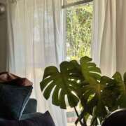 みさ 🙌🏻 横浜人妻セレブリティ（ユメオト）