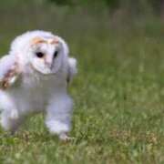 ヒメ日記 2025/04/10 15:01 投稿 みり ポッキリ学園 ～モテモテハーレムごっこ～