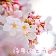 ヒメ日記 2025/04/11 01:10 投稿 かえで 脱がされたい人妻 宇都宮店