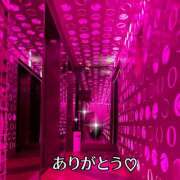 ヒメ日記 2025/06/03 10:29 投稿 かえで 脱がされたい人妻 宇都宮店
