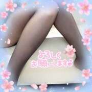 ヒメ日記 2025/06/09 14:08 投稿 かえで 脱がされたい人妻 宇都宮店