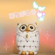 かえで お礼❤️・今週予定🙇‍♀️ 脱がされたい人妻 宇都宮店