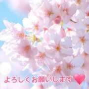 ヒメ日記 2026/04/07 18:26 投稿 かえで 脱がされたい人妻 宇都宮店