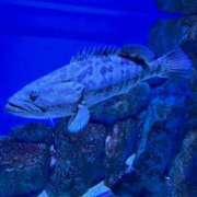 ヒメ日記 2024/12/16 02:18 投稿 みく【19歳未経験☆全身性感帯】 モッチーナ