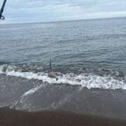 ヒメ日記 2025/04/24 09:18 投稿 みく【19歳未経験☆全身性感帯】 モッチーナ