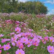 ヒメ日記 2025/04/25 21:48 投稿 みく【19歳未経験☆全身性感帯】 モッチーナ