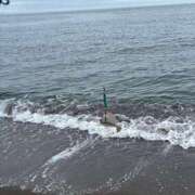 ヒメ日記 2025/05/05 13:48 投稿 みく【19歳未経験☆全身性感帯】 モッチーナ