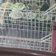 ヒメ日記 2025/08/11 14:03 投稿 みく【19歳未経験☆全身性感帯】 モッチーナ