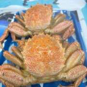 ヒメ日記 2025/08/13 10:18 投稿 みく【19歳未経験☆全身性感帯】 モッチーナ