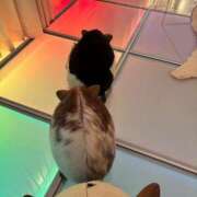 ヒメ日記 2025/09/03 03:27 投稿 みく【19歳未経験☆全身性感帯】 モッチーナ