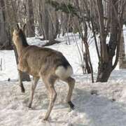 ヒメ日記 2025/10/25 23:33 投稿 みく【19歳未経験☆全身性感帯】 モッチーナ