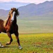 ヒメ日記 2025/12/28 23:53 投稿 あい 高級アロマエステ＆性感 Felice-フェリーチェ-