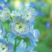 ヒメ日記 2026/04/19 09:46 投稿 あい 高級アロマエステ＆性感 Felice-フェリーチェ-