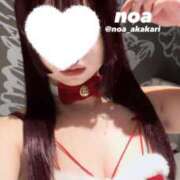 ヒメ日記 2024/12/21 11:25 投稿 のあ 赤坂添い寝女子