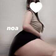 ヒメ日記 2025/02/28 15:50 投稿 のあ 赤坂添い寝女子