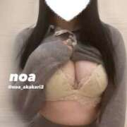 ヒメ日記 2025/03/24 15:33 投稿 のあ 赤坂添い寝女子