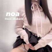 ヒメ日記 2025/04/24 16:20 投稿 のあ 赤坂添い寝女子