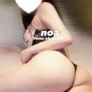 ヒメ日記 2025/07/20 14:05 投稿 のあ 赤坂添い寝女子