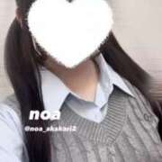 ヒメ日記 2025/11/04 16:42 投稿 のあ 赤坂添い寝女子