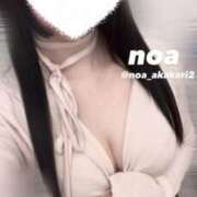 ヒメ日記 2025/11/07 16:49 投稿 のあ 赤坂添い寝女子