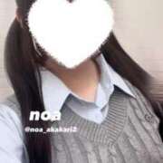 ヒメ日記 2026/01/12 16:53 投稿 のあ 赤坂添い寝女子