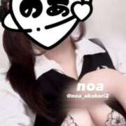 ヒメ日記 2026/04/16 15:31 投稿 のあ 赤坂添い寝女子