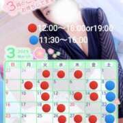 ヒメ日記 2025/02/23 22:18 投稿 なみ 人妻の楽園（博多）