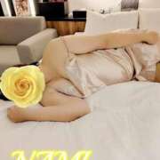 ヒメ日記 2025/11/18 11:06 投稿 なみ 人妻の楽園（博多）