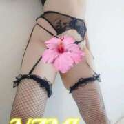 ヒメ日記 2025/11/25 20:26 投稿 なみ 人妻の楽園（博多）