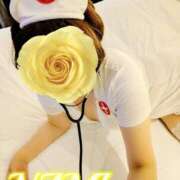 ヒメ日記 2026/02/08 19:06 投稿 なみ 人妻の楽園（博多）