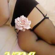 ヒメ日記 2026/02/20 11:06 投稿 なみ 人妻の楽園（博多）