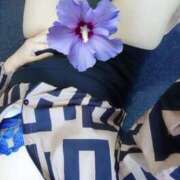 ヒメ日記 2026/02/26 11:06 投稿 なみ 人妻の楽園（博多）