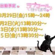 ヒメ日記 2024/03/28 12:21 投稿 まなみ ちゃんこ長野塩尻北IC店