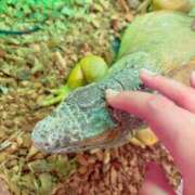 ヒメ日記 2026/03/04 15:23 投稿 きき　最強イチャイチャHカップ 今ドキ マットMAX