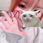 ヒメ日記 2026/03/05 16:18 投稿 きき　最強イチャイチャHカップ 今ドキ マットMAX