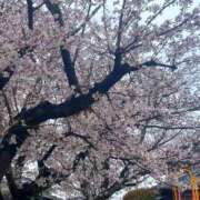 ヒメ日記 2026/04/02 15:18 投稿 きき　最強イチャイチャHカップ 今ドキ マットMAX