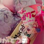 ヒメ日記 2026/05/18 09:18 投稿 きき　最強イチャイチャHカップ 今ドキ マットMAX