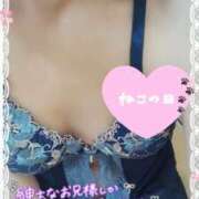 ヒメ日記 2025/02/22 14:12 投稿 中村美月 五十路マダム 郡山店