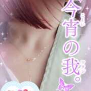 ヒメ日記 2025/05/27 20:16 投稿 中村美月 五十路マダム 郡山店