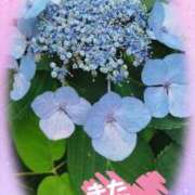 ヒメ日記 2025/07/11 12:02 投稿 中村美月 五十路マダム 郡山店