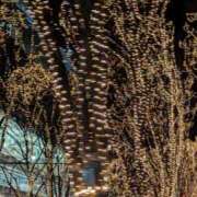 ヒメ日記 2025/12/26 22:12 投稿 中村美月 五十路マダム 郡山店