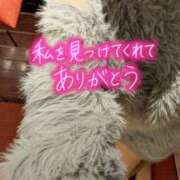 ヒメ日記 2026/01/19 17:04 投稿 中村美月 五十路マダム 郡山店